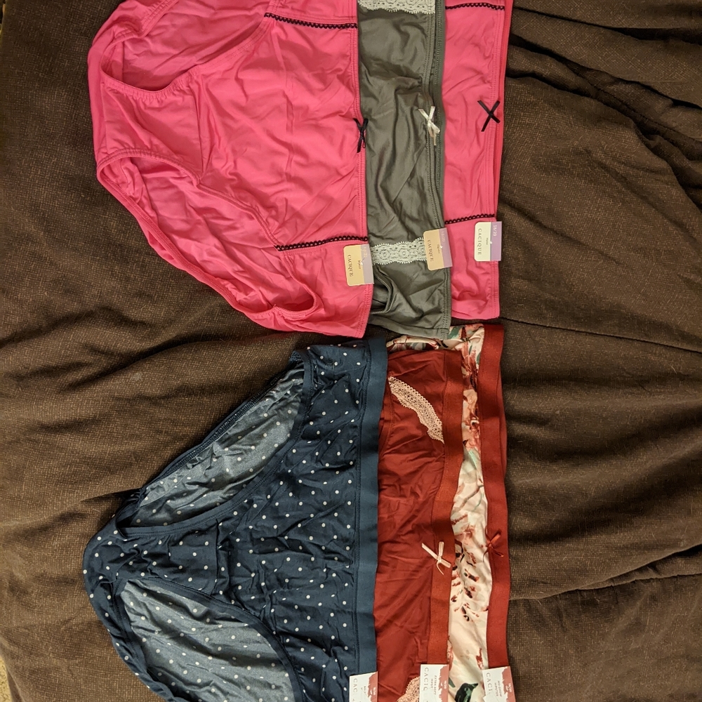 Bundle of  6 Cacique Hipster Panties 18/20